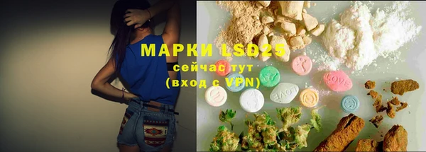стафф Иннополис