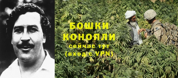 шишки Каменск-Шахтинский