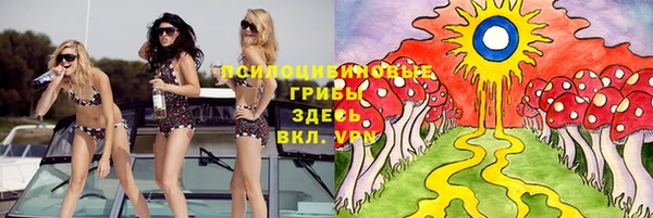 ALPHA-PVP Киреевск