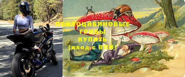 стафф Иннополис