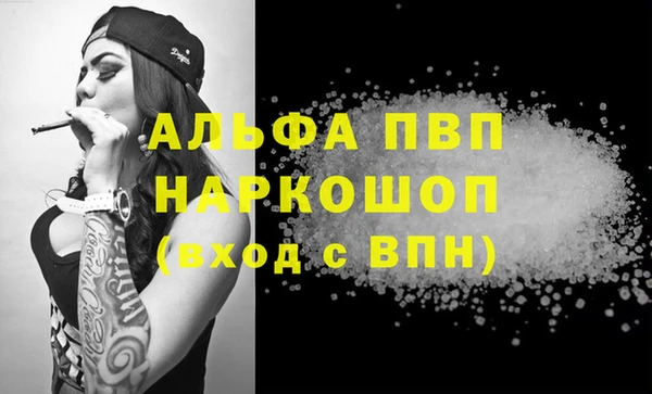 стафф Иннополис