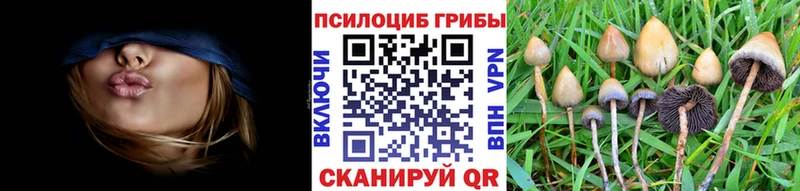 Галлюциногенные грибы мицелий  сколько стоит  Северодвинск 