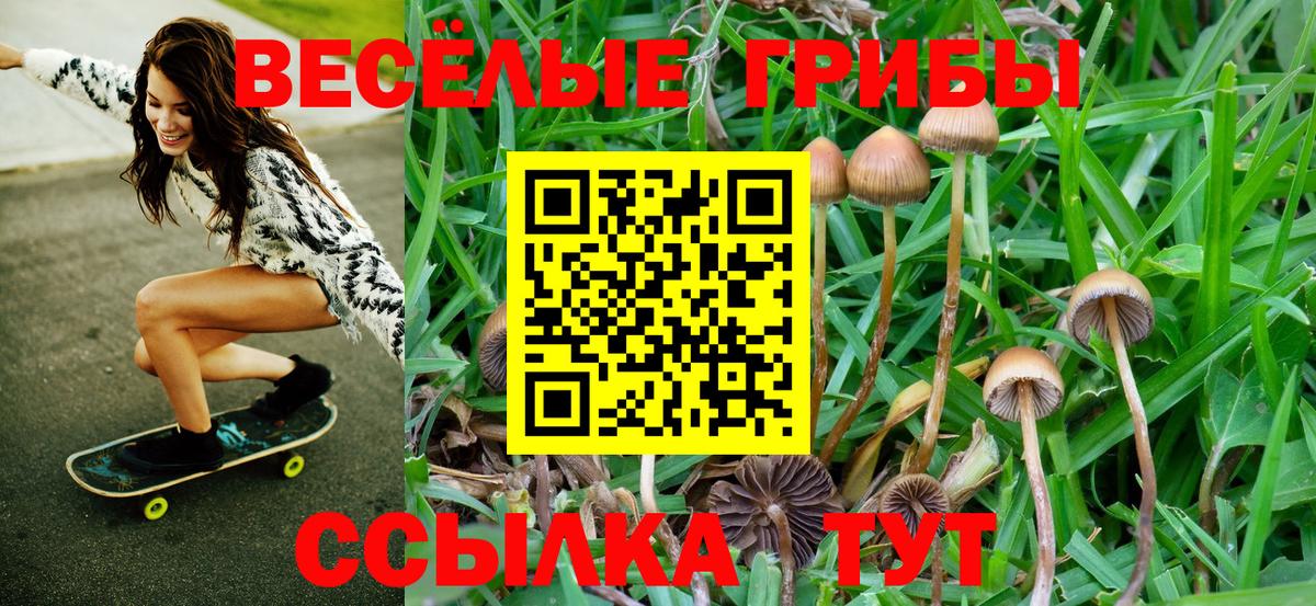Псилоцибиновые грибы Magic Shrooms  Галлюциногенные грибы MAGIC MUSHROOMS  Вход с VPN  Северодвинск 